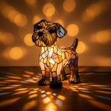 Dazzling Terrier