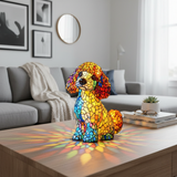 Charming Poodle Dog