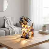 Dazzling Terrier