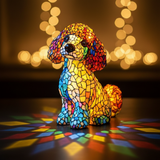 Charming Poodle Dog